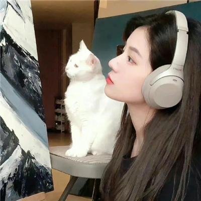 爱的引擎